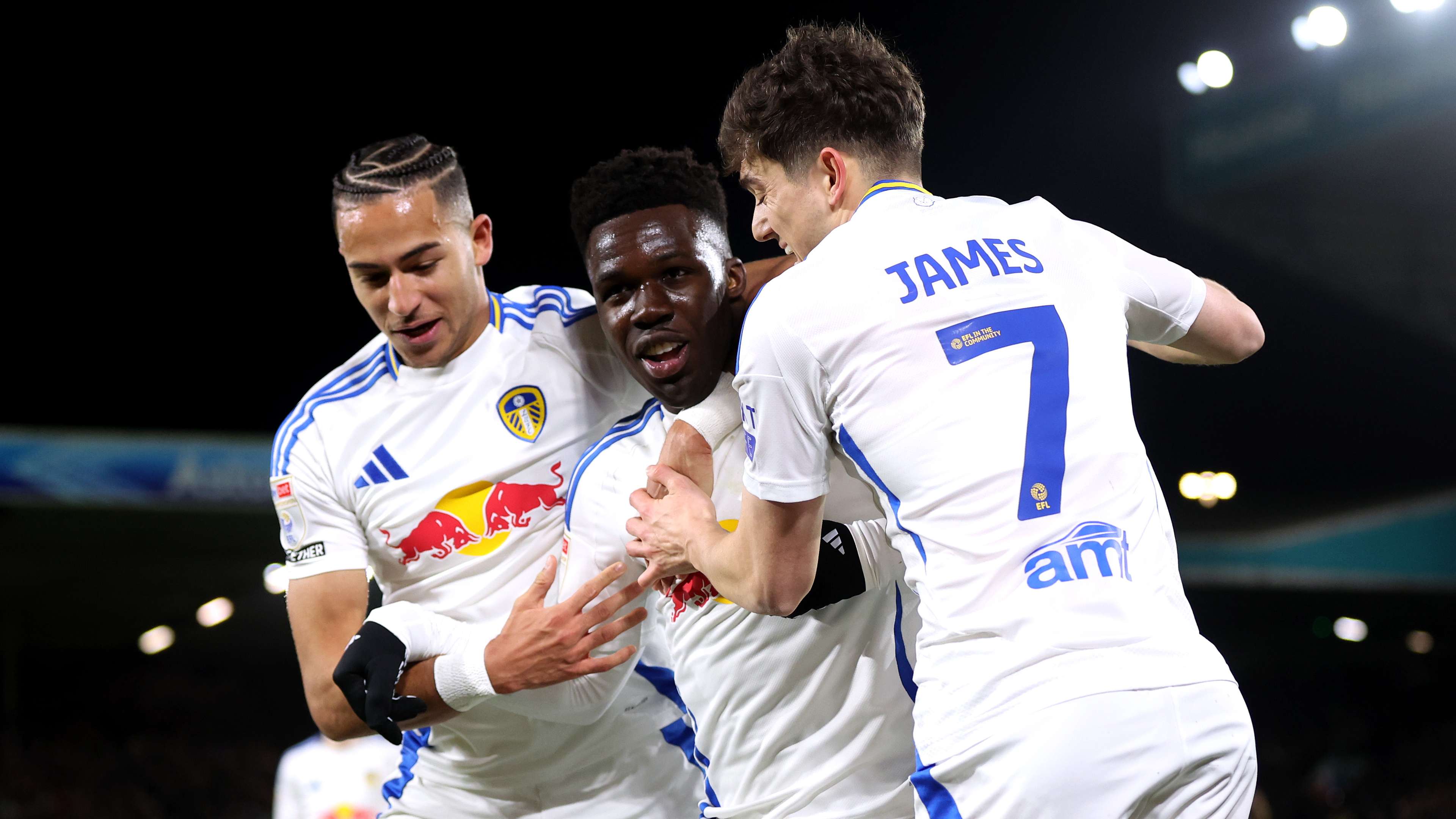 力和凝聚力 力和凝聚力